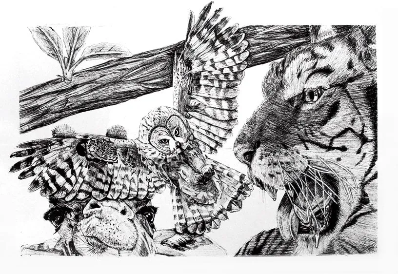 Graphite drawing