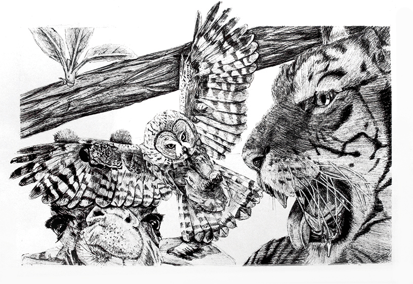 Graphite Drawing
